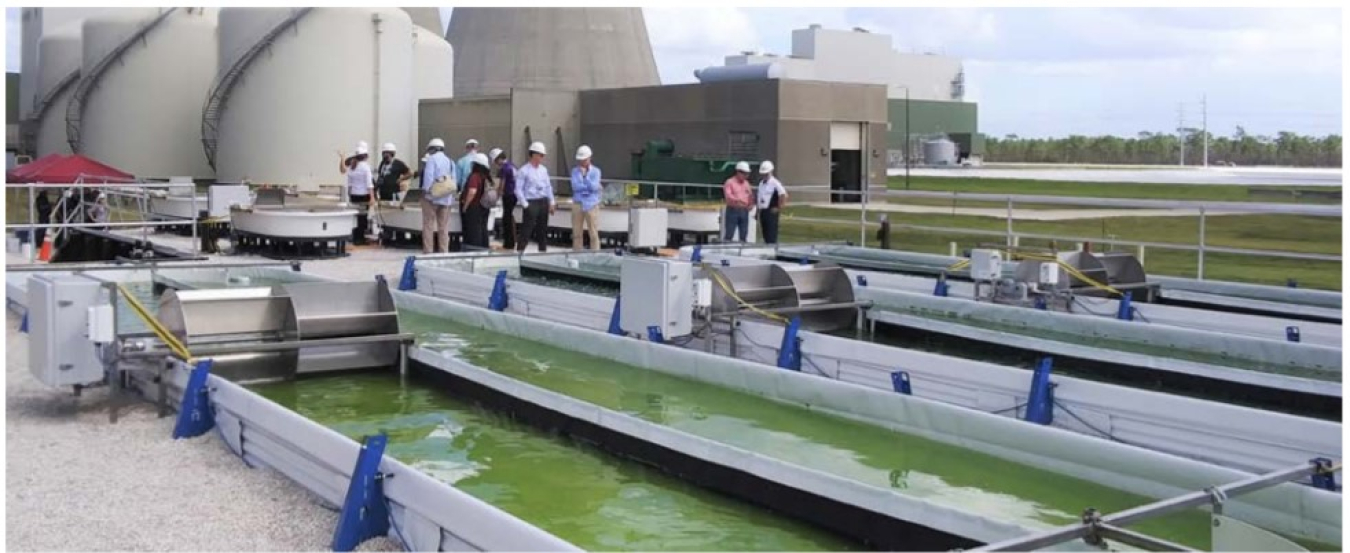 Demonstration testing of direct flue gas injection into a filamentous algae open system operated by the Orlando Utilities Commission at the Stanton Energy Center and MicroBio Engineering Inc. Photo by MicroBio Engineering Inc.