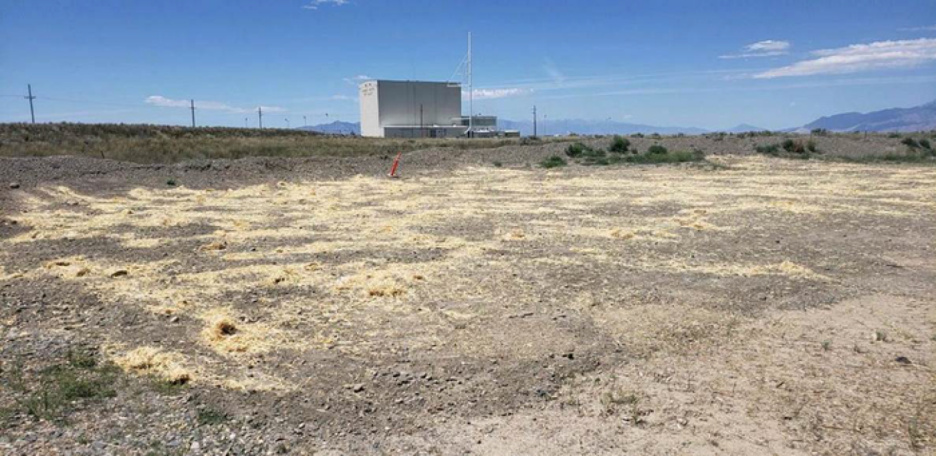 Following cover placement, the Materials and Fuels Complex Landfill was reseeded and mulched. In a few years, it will look like the surrounding terrain.