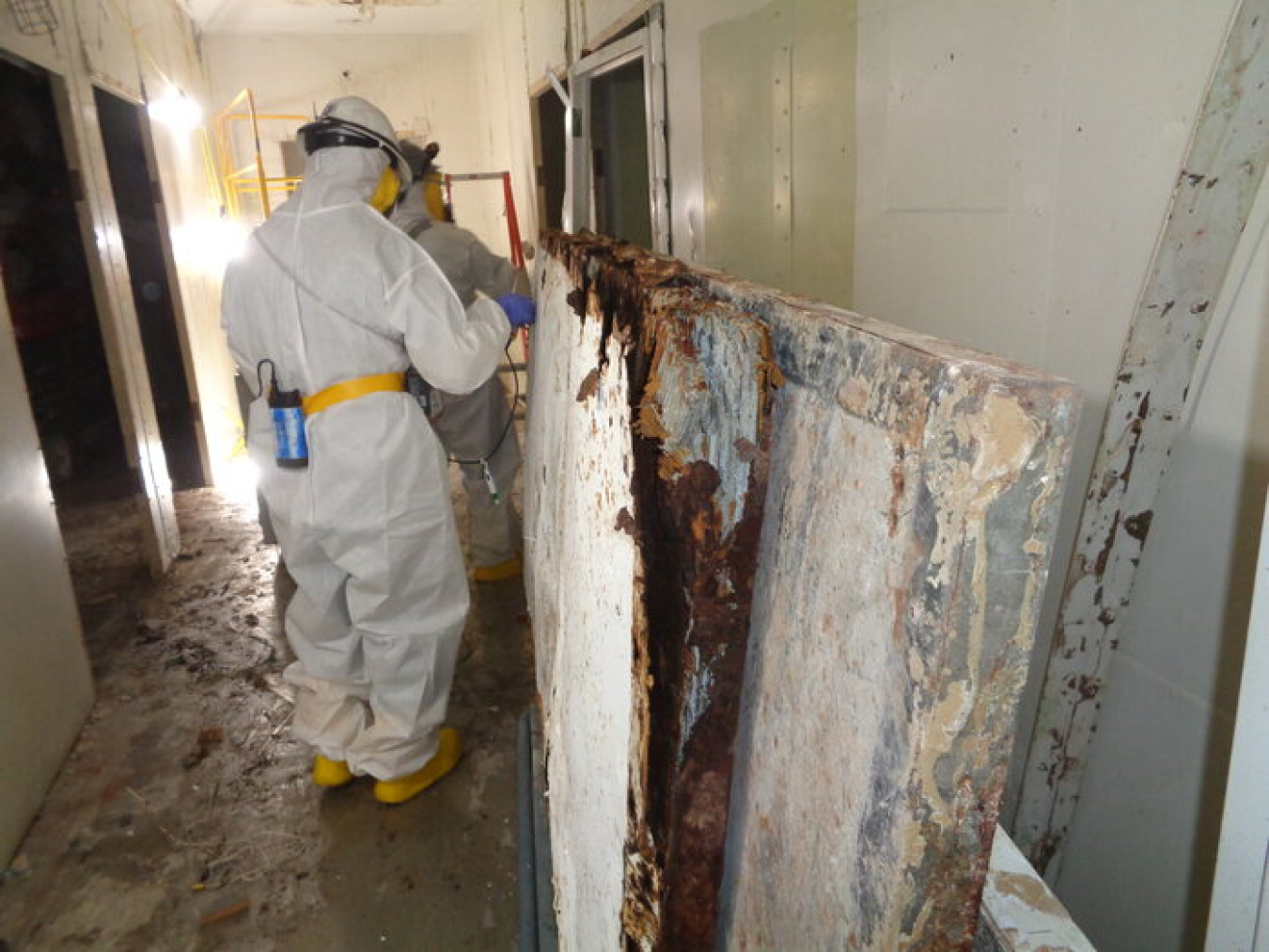 Crews in full protective gear have been conducting asbestos abatement inside remaining Biology Complex buildings at Oak Ridge since early 2019.