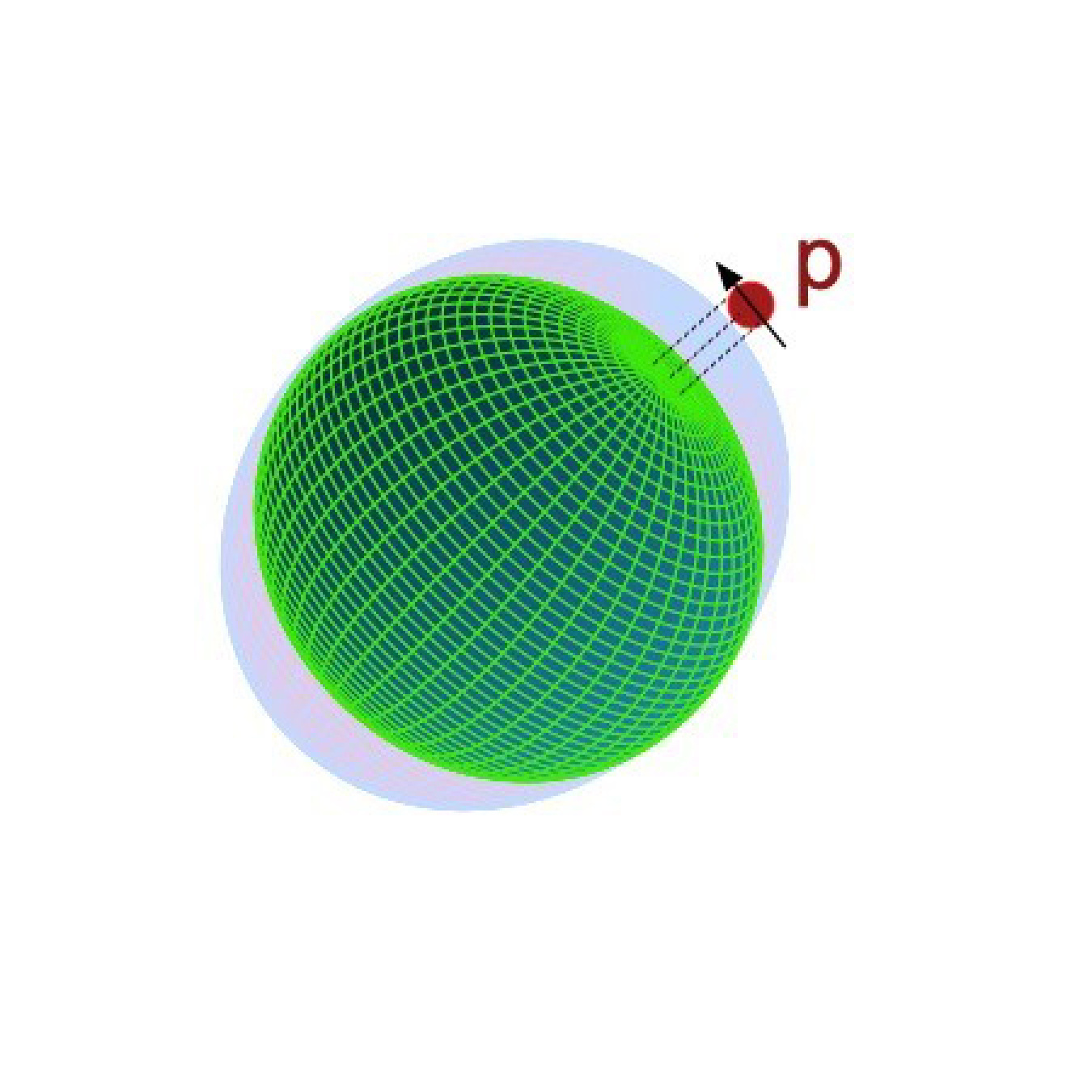Schematic of a single proton (p) inducing deformation (grey) on an otherwise spherical “semi-magic” tin-128 core (green). The bulge is analogous to the moon inducing oceanic tidal bulges on the Earth.