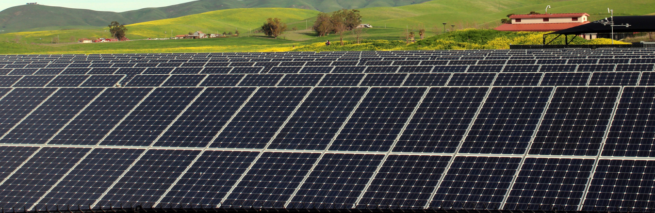 Photovoltaic panels in a field