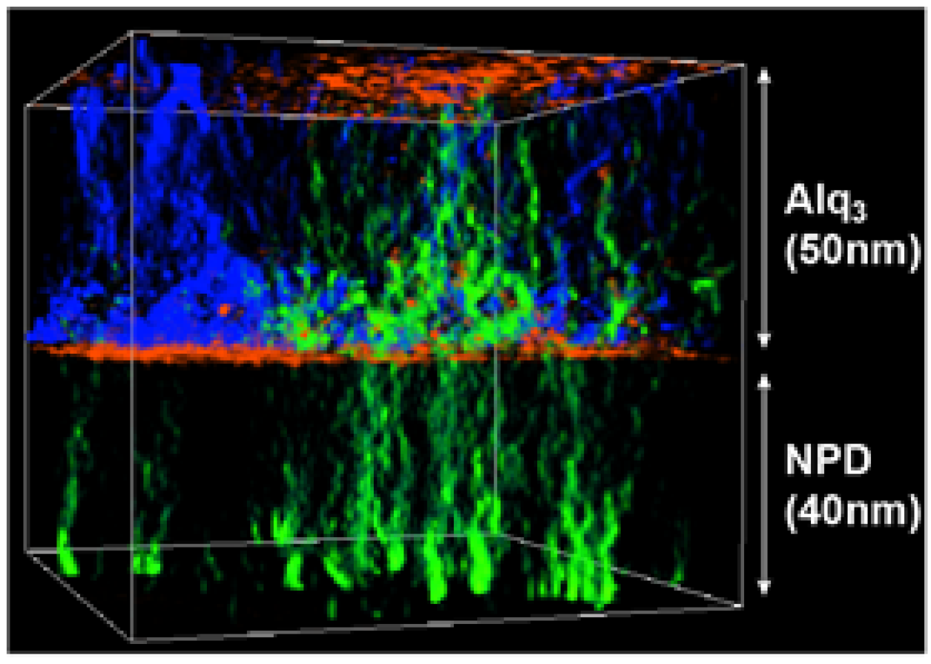 Simulation showing the highly filamentary nature of the electron (blue) and hole (green) current density in a bilayer OLED.