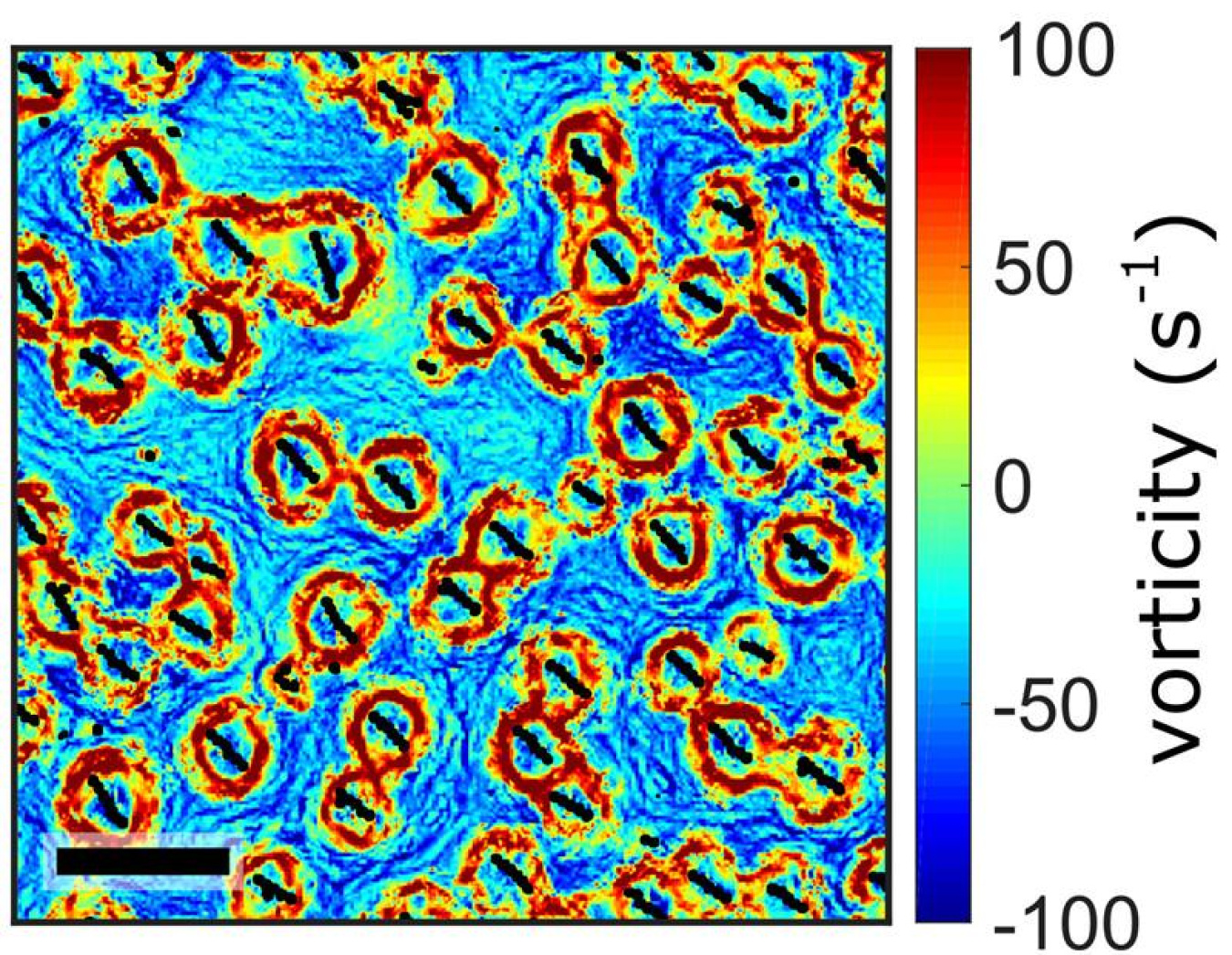 Fluid vortices induced by a swarm of synchronized spinning particles in a liquid-like state. The activity of spinning self-assembled particles produces flows that cause neighboring spinning particles to self-organize into lattice-like structures. 