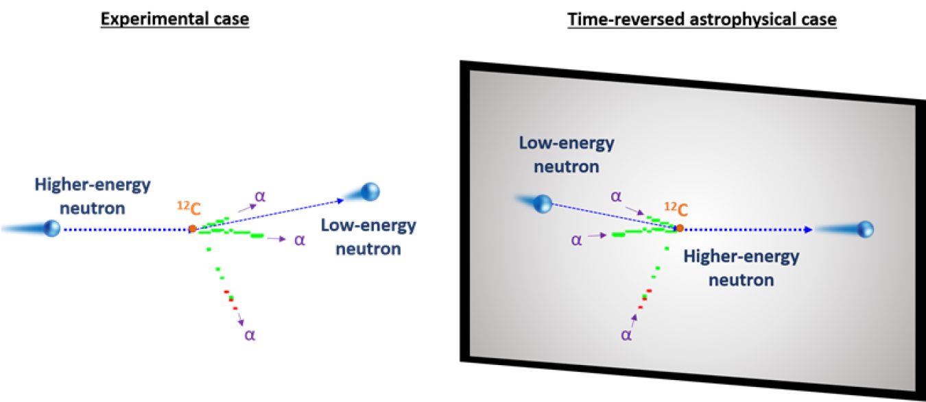 Snapshot of a nuclear reaction showing a high-energy neutron causing a carbon-12 atom to break apart into three alpha-particles, leaving a low-energy neutron (left). This is the reverse of how the process would occur in nature (right).