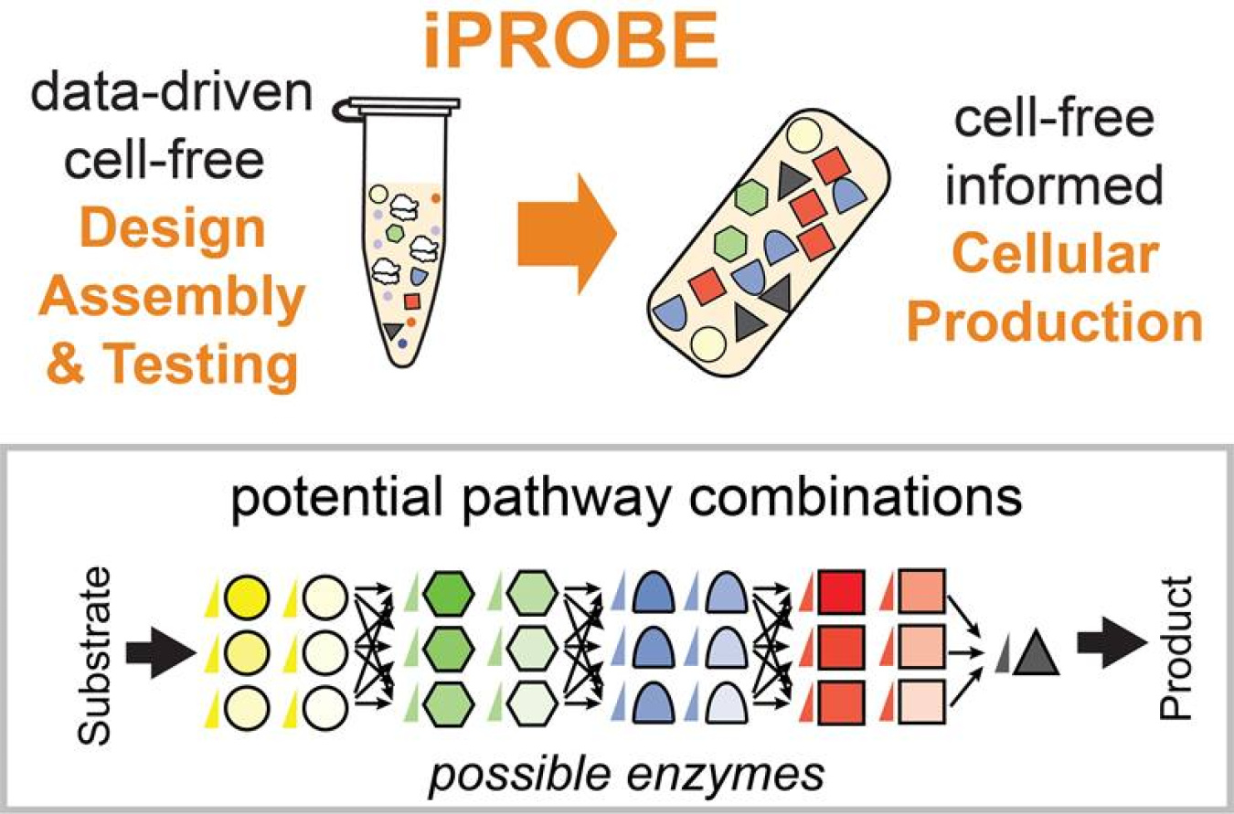 The cell-free prototyping framework can down-select enzymatic pathway candidates to accelerate synthetic biological design in cells.