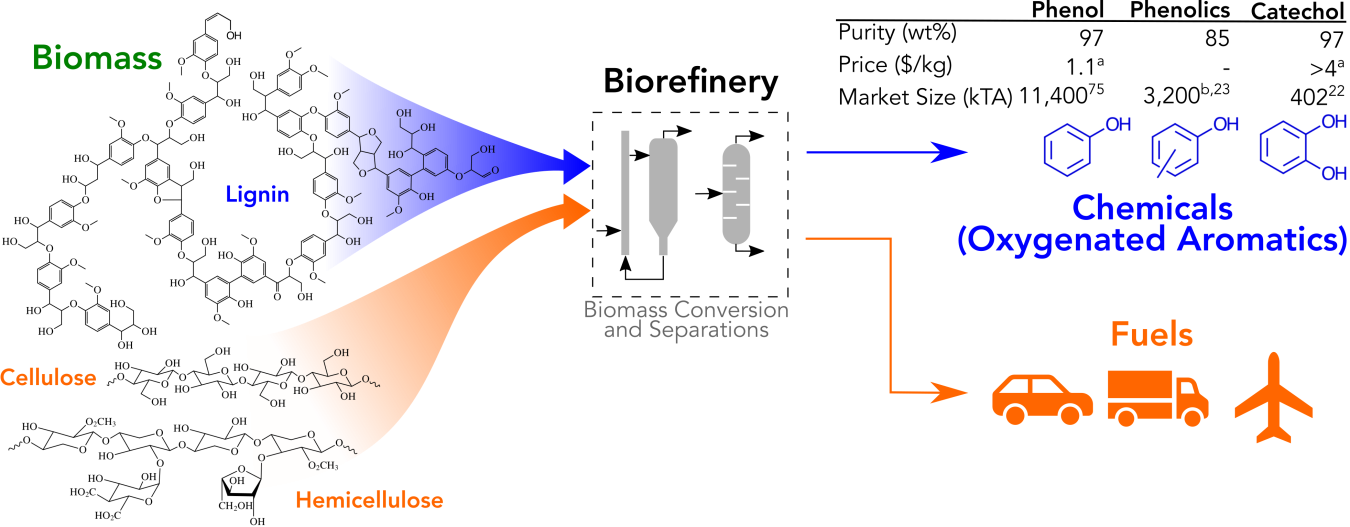 Example of an integrated biorefinery that produces fuels and chemicals, in which phenols and diols products take advantage of the structure of biomass (lignin). The inset table shows the market price of $1.10/kg for high-purity phenol in 2017 dollars.