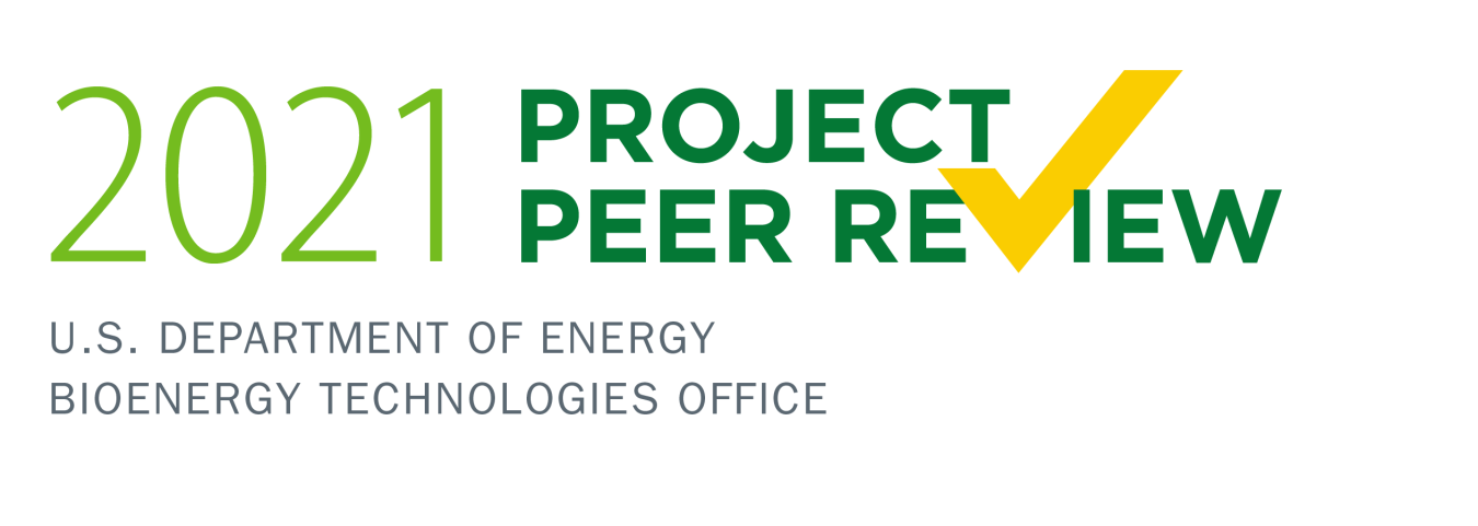 2021 Project Peer Review logo