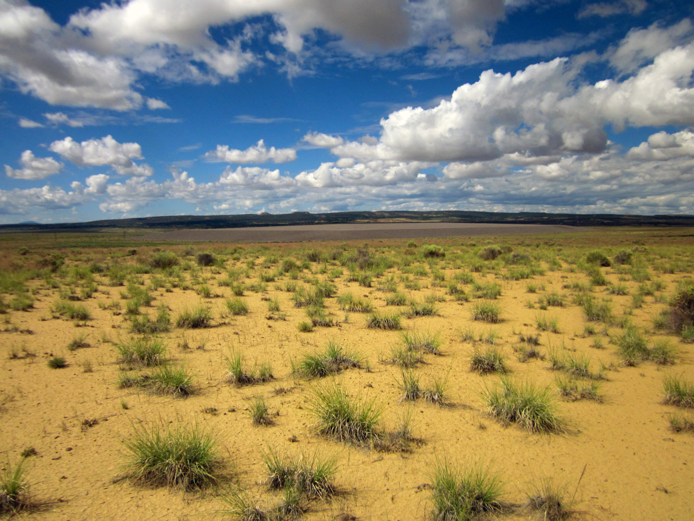 The Ambrosia Lake disposal site is a former uranium-ore processing facility in McKinley County, approximately 25 miles north of Grants, New Mexico. 