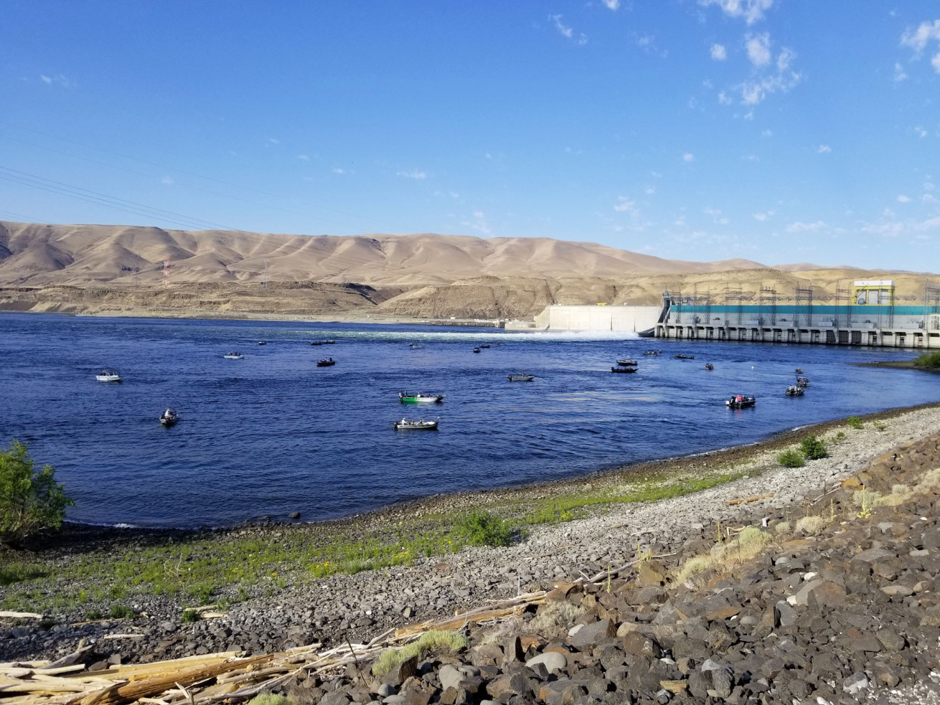 Salmon fishing in front of Wanapum Dam on Columbia River in Washignton.