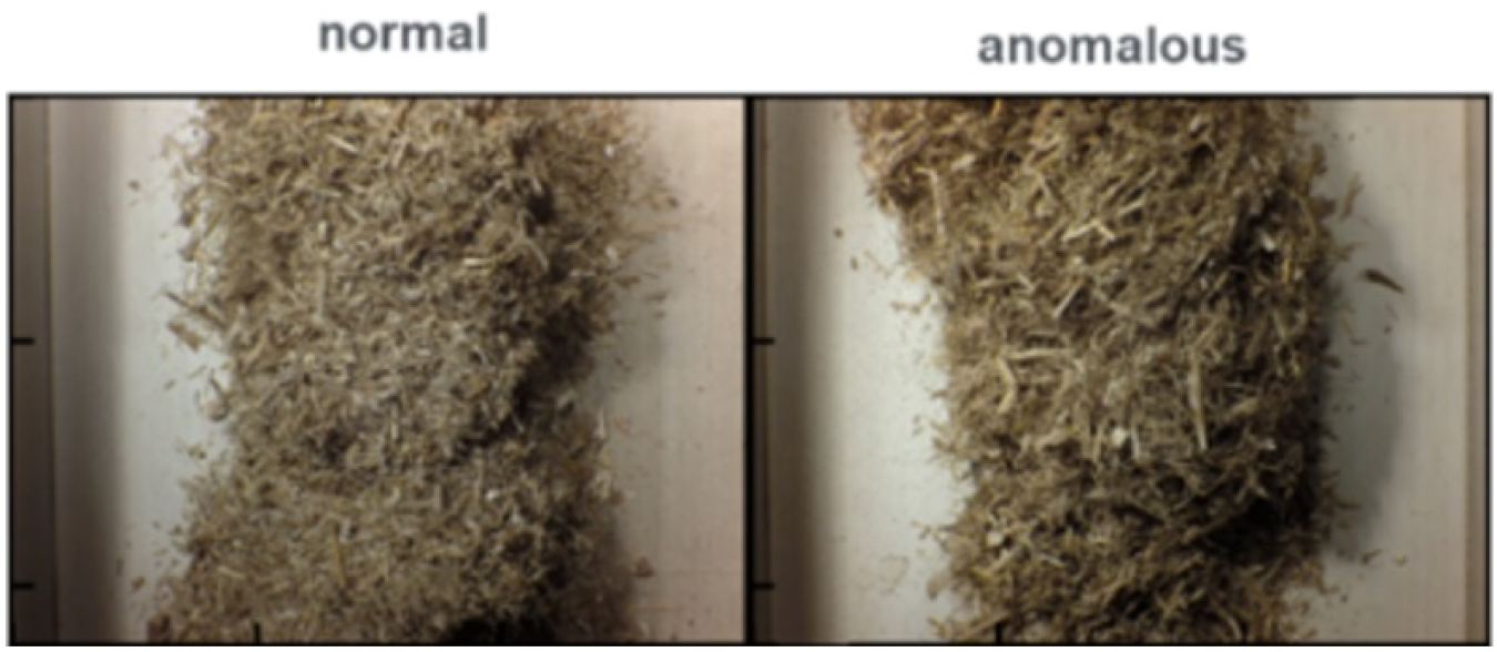 Examples of ‘normal’ vs ‘anomalous’ corn stover. Images were processed with models that identified characteristics such as stringiness in the anomalous material, which correlate with downstream process issues. Credit: NREL