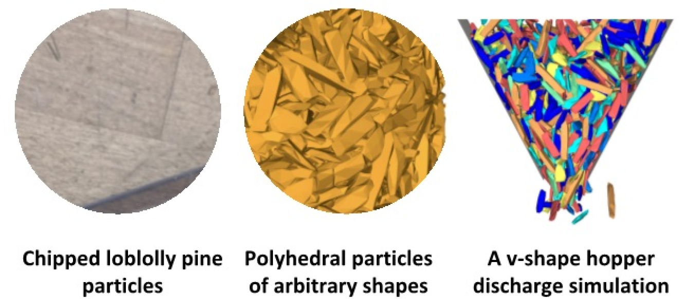 Example of a particle model developed at INL. Researchers employed CT-scans of pine to develop high-resolution particle shape and size distributions. Photo credit: INL