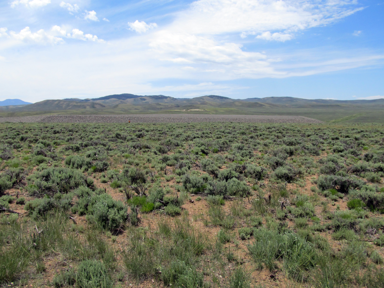 The Gunnison, Colorado, Processing Site is a former uranium ore processing site on a 61.5-acre tract of land adjacent to the Gunnison County airport, one-half mile southwest of the city of Gunnison.