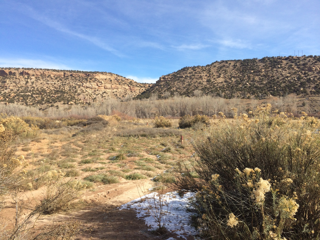 The Naturita processing site is a former uranium and vanadium mill in western Colorado, about 2 miles northwest of the city of Naturita in Montrose County, Colorado. 