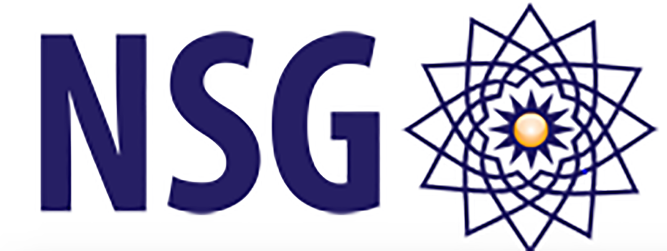 Nuclear Suppliers Group logo