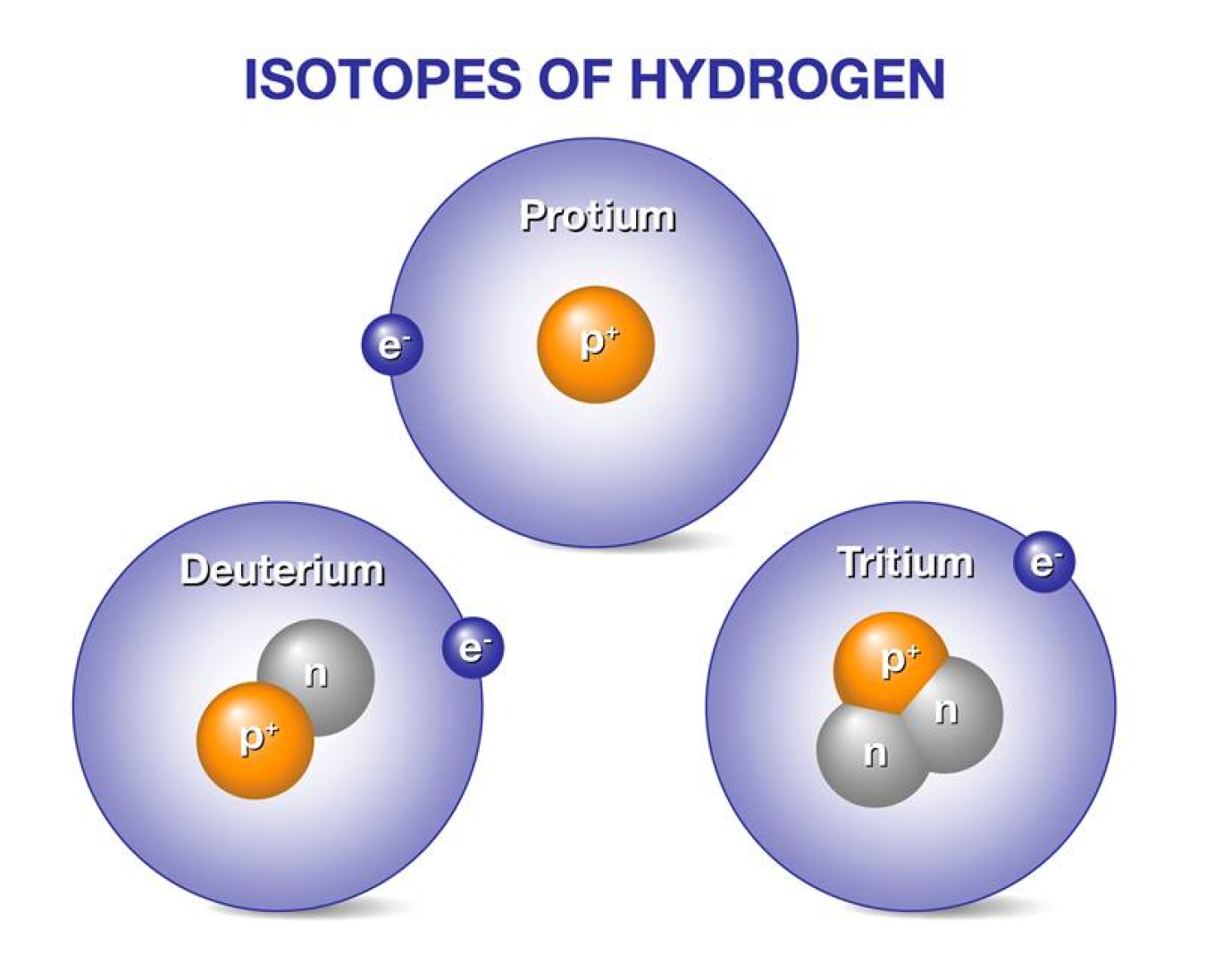 The extra neutrons (n) in deuterium and tritium make them heavier than ordinary hydrogen, sometimes call protium.