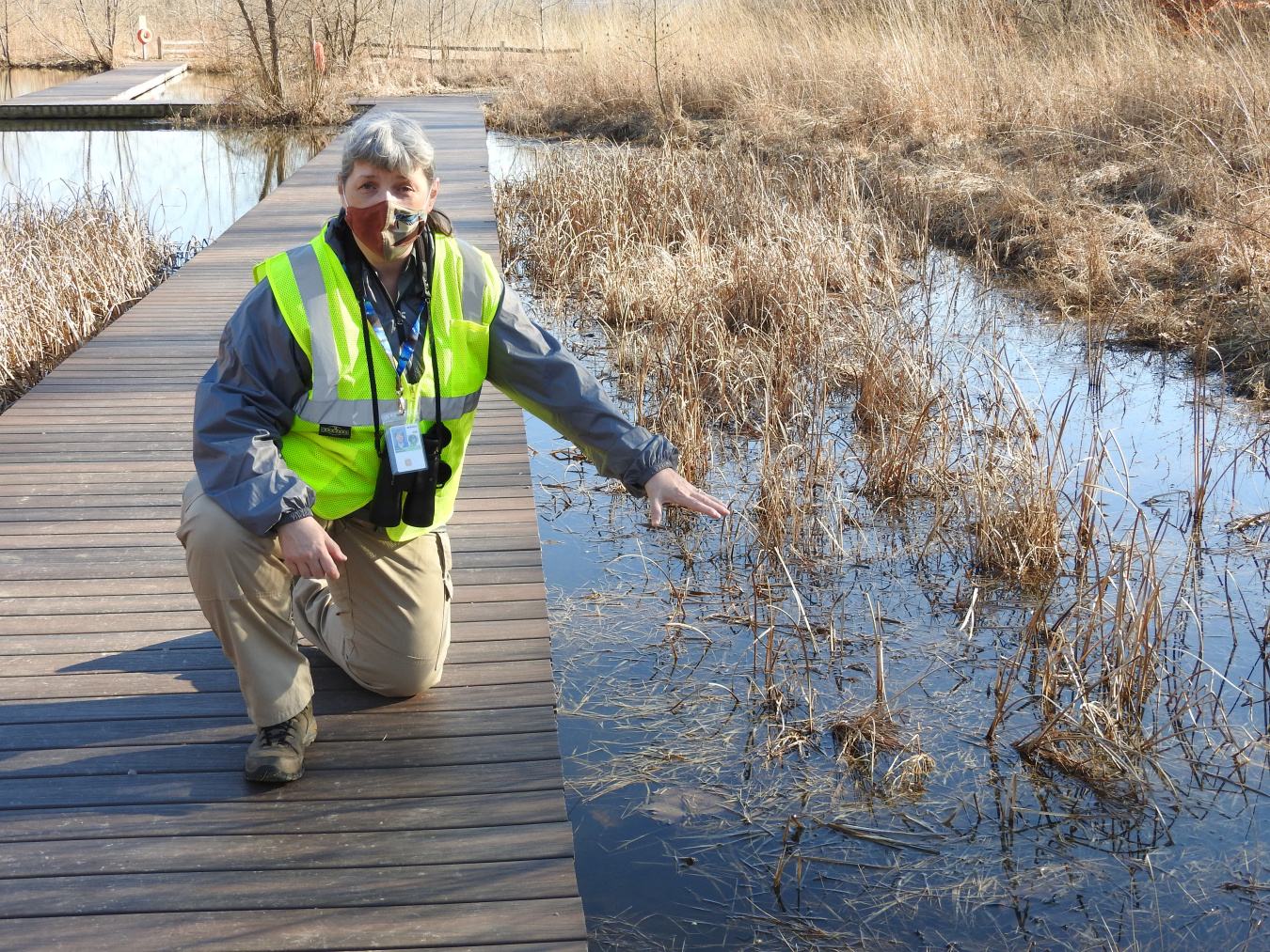 Interpreters at Fernald Preserve continue to share ecology lessons through AHA Nature Moments and virtual programming.