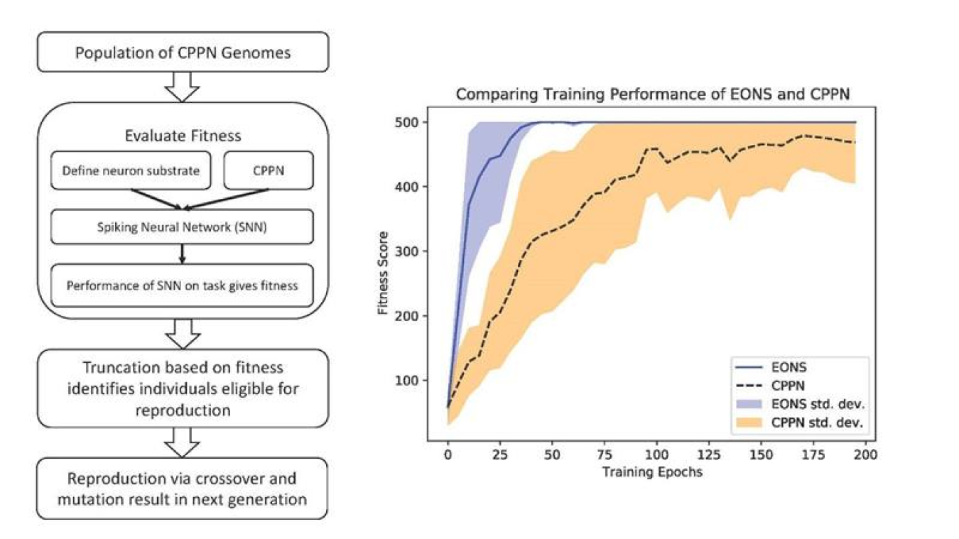 Left, an overview of the new evolutionary approach. Right, comparison of the new approach with another evolutionary approach to SNNs (EONS) showing the new approach reaches comparable performance to EONS, but does so more gradually, which can indicate better generalization ability of the resulting SNN.