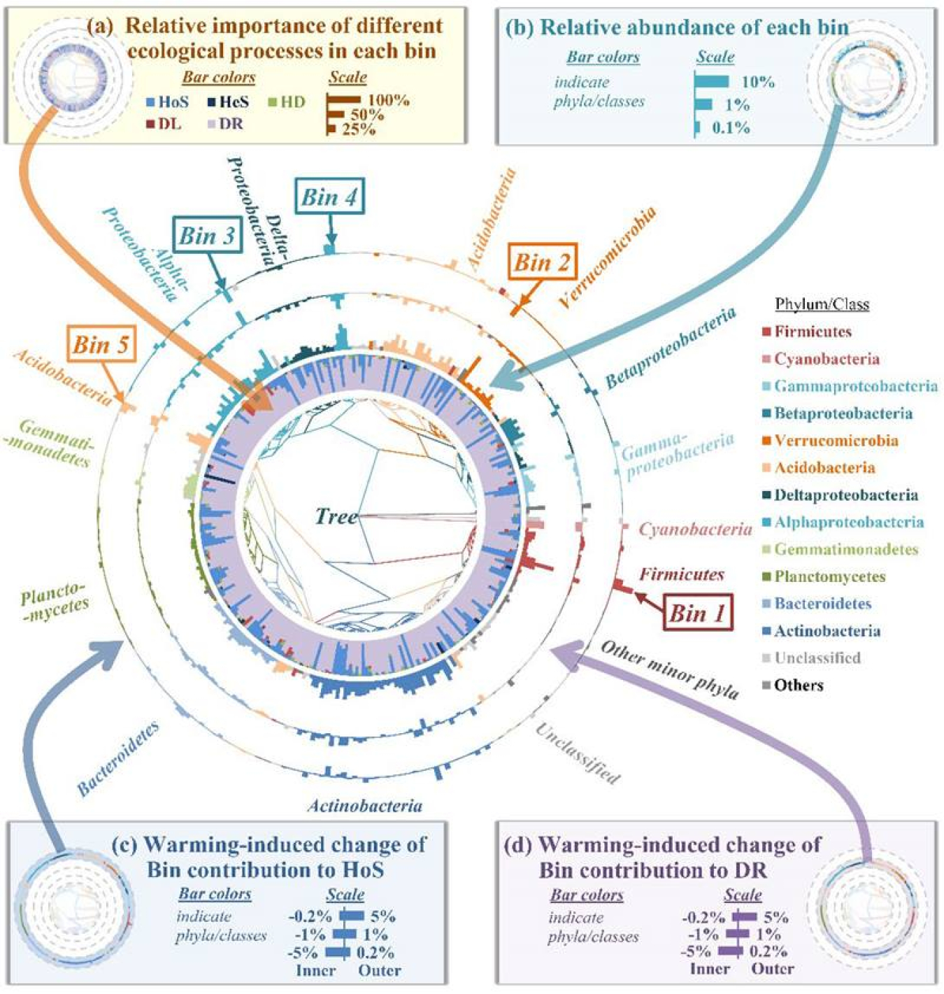 The new iCAMP framework can provide insights into assembly mechanisms of different phylogenetic groups, such as the relative importance of selection (HoS/HeS), dispersal (HD/DL), and drift in shaping variation of each ‘bin’ under different conditions.