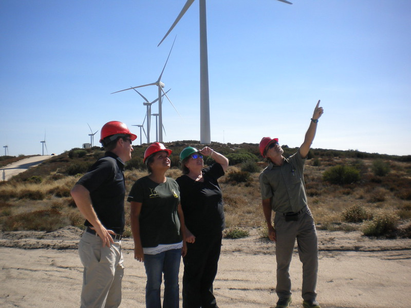 A group of people in front of wind turbines.