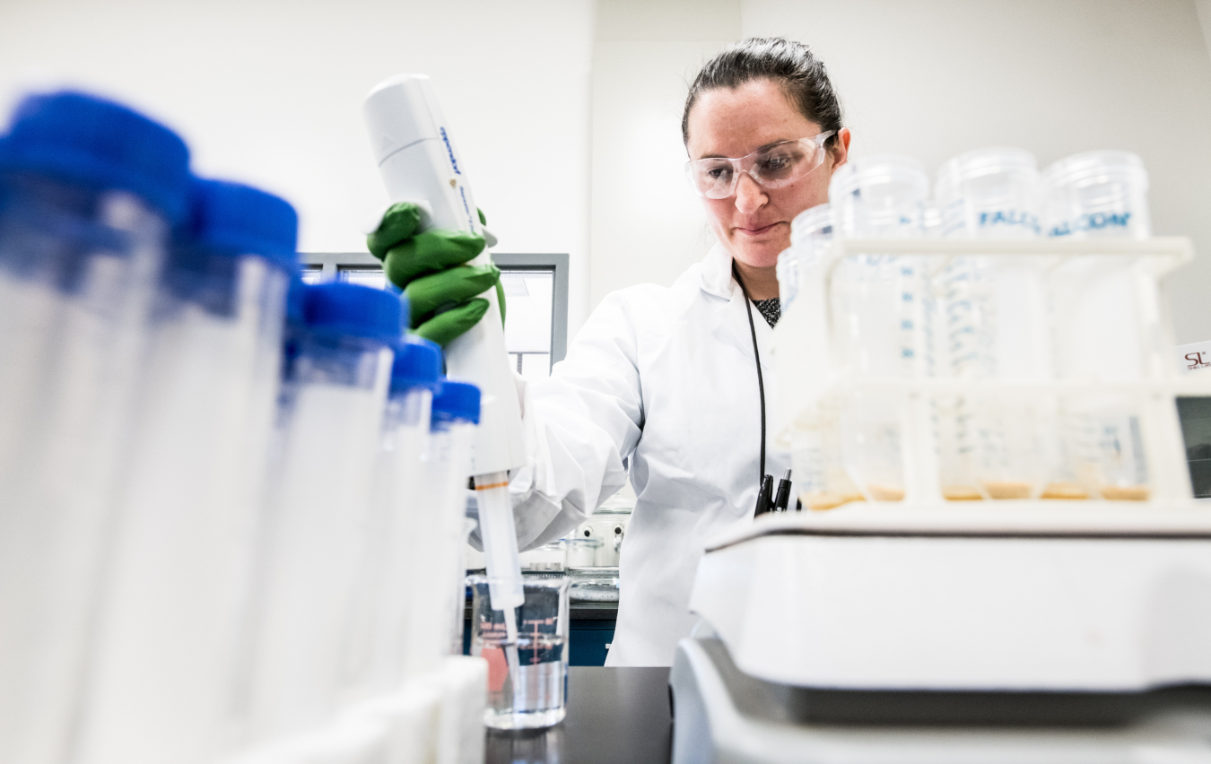 Researcher measuring the amount of cellulose in corn grain samples.