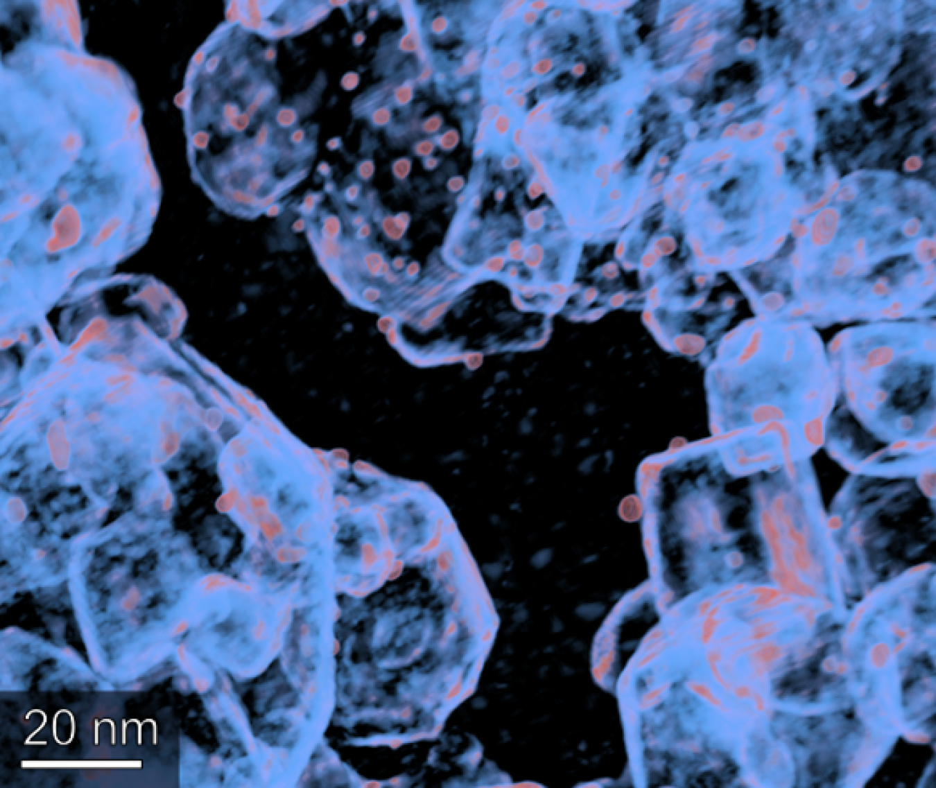 Electron tomography catalysis model