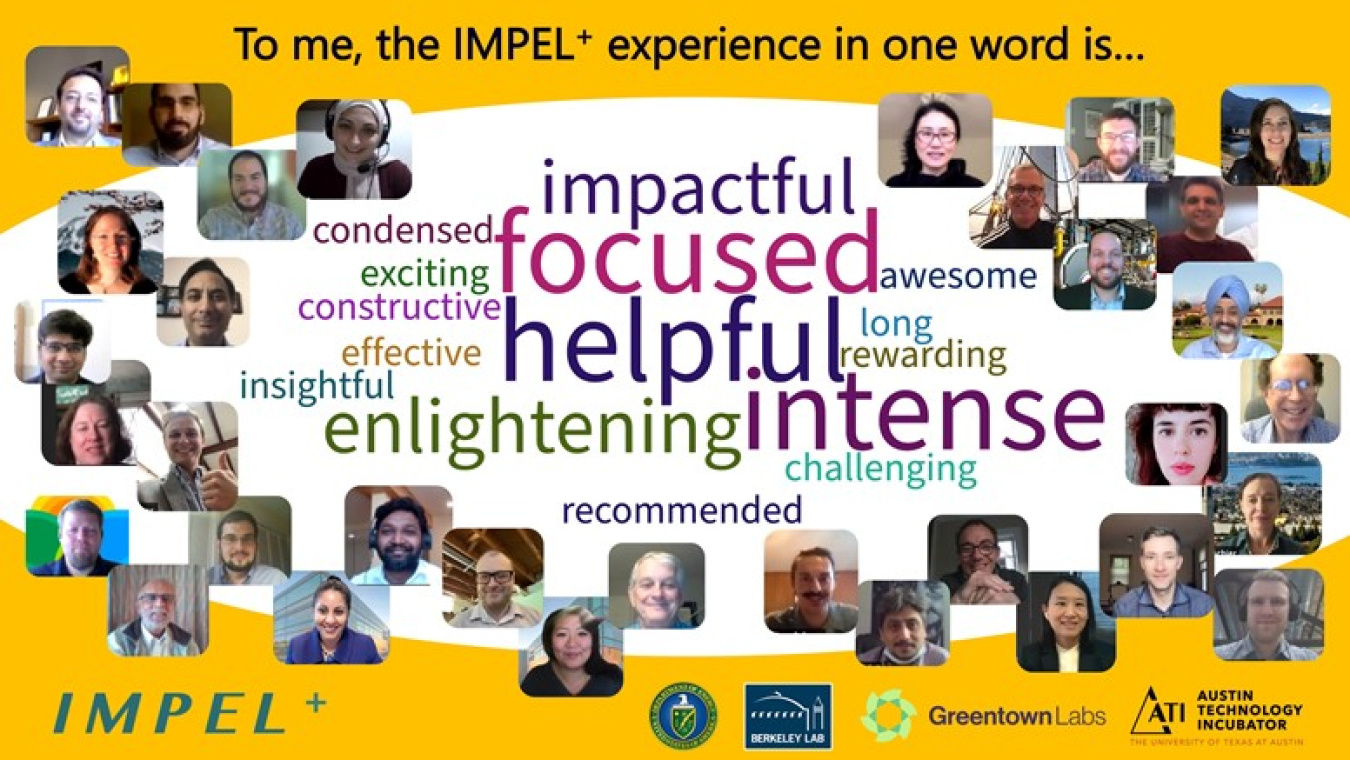 Collage of head-and-shoulders photos of people, with a word map and a line at the top that reads "To me, the IMPEL+ experience in one word is ..."