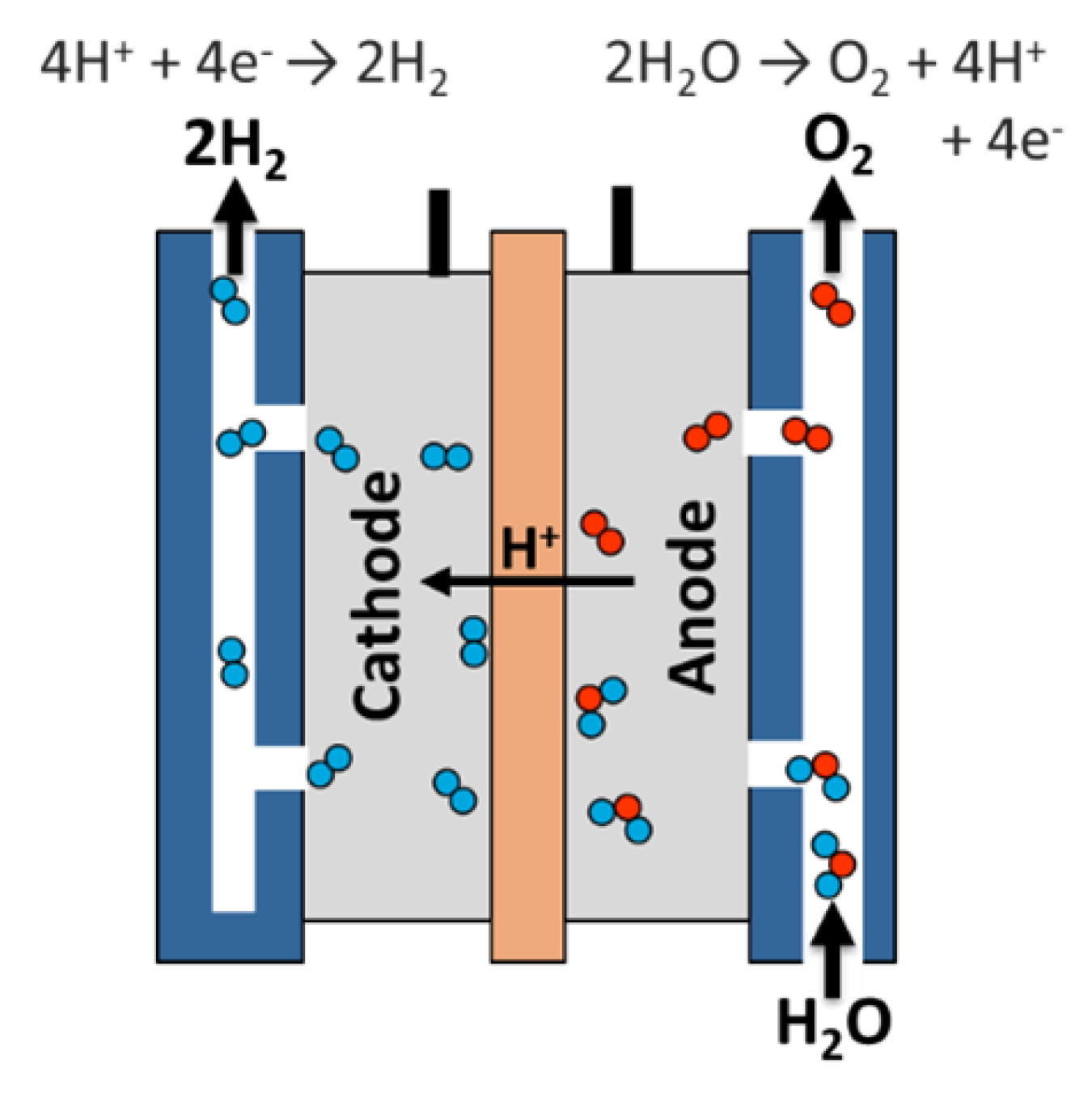 Schematic of a polymer electrolyte membrane electrolyzer