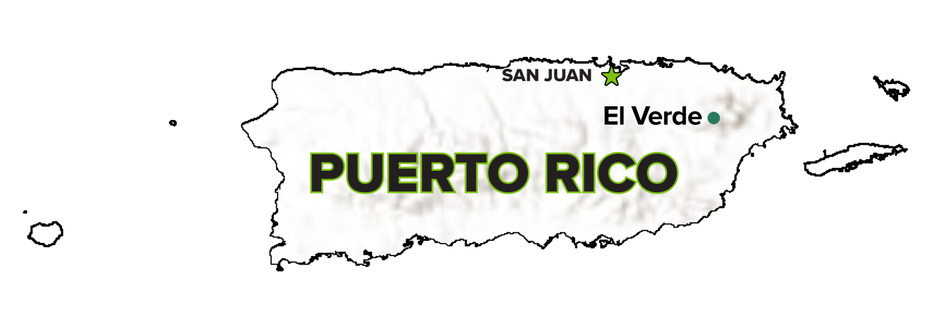 El Verde, Puerto Rico, Site map.