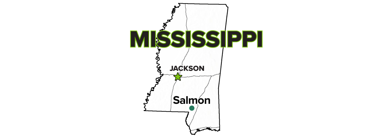 Salmon, Mississippi, Site map.