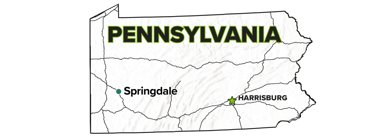Springdale, Pennsylvania, Site map.