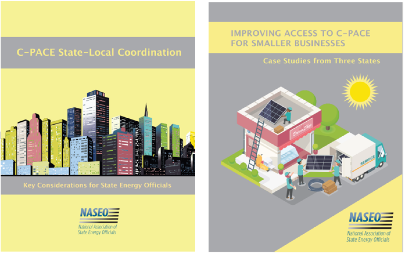 Covers of two new NASEO reports