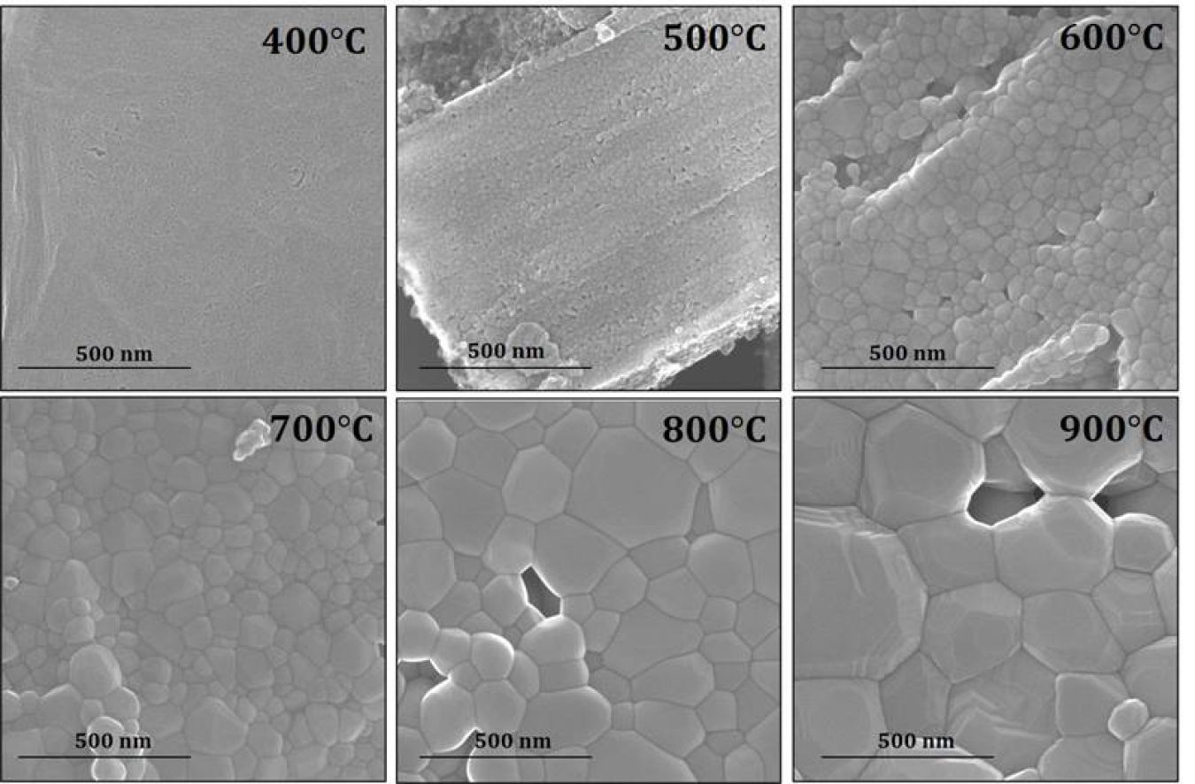 Electron micrographs show neptunium dioxide grain size increases with increasing temperature. Processing the material at higher temperature increases its grain size and reduces its movement into the environment. 