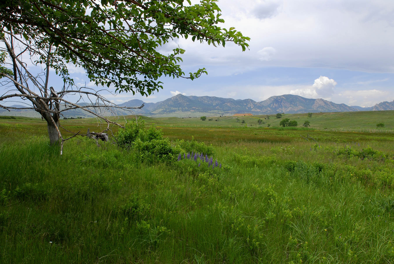 The post-cleanup Rocky Flats Site is seen in a photo taken June 11, 2007.