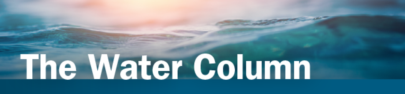 Banner that says "The Water Column"