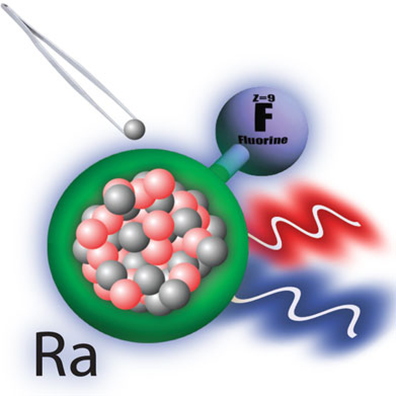 A simplified representation of the experiment. Changing the number of neutrons (grey spheres) in the radium (Ra) nucleus changes the energy levels of the radium monofluoride (RaF) molecule. Small changes can be measured by using different lasers (blue and red wavy lines).