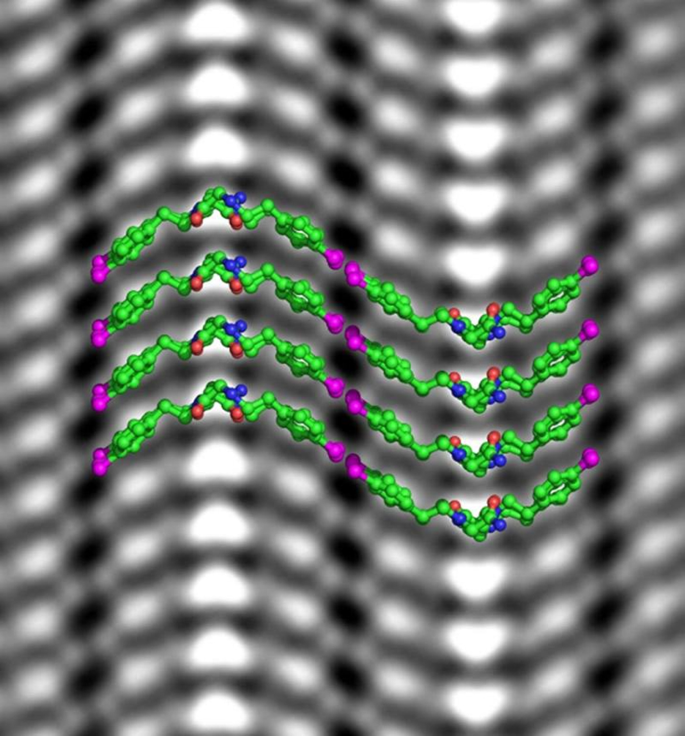 Cryogenic imaging combined with machine learning allowed scientists to derive the chemical structure of short peptoid polymers (green) from micrographs (grayscale image) and observe bromine atoms on the side chains (magenta).