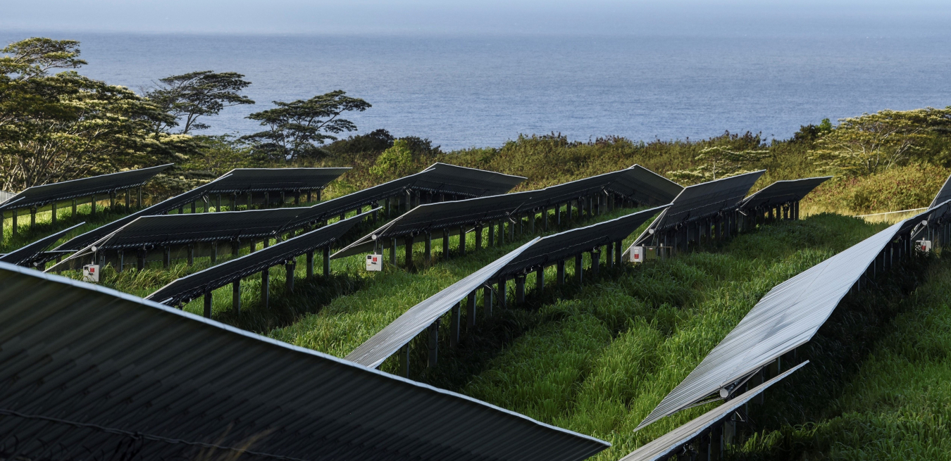 Solar panels in Kauai with the ocean in the background.