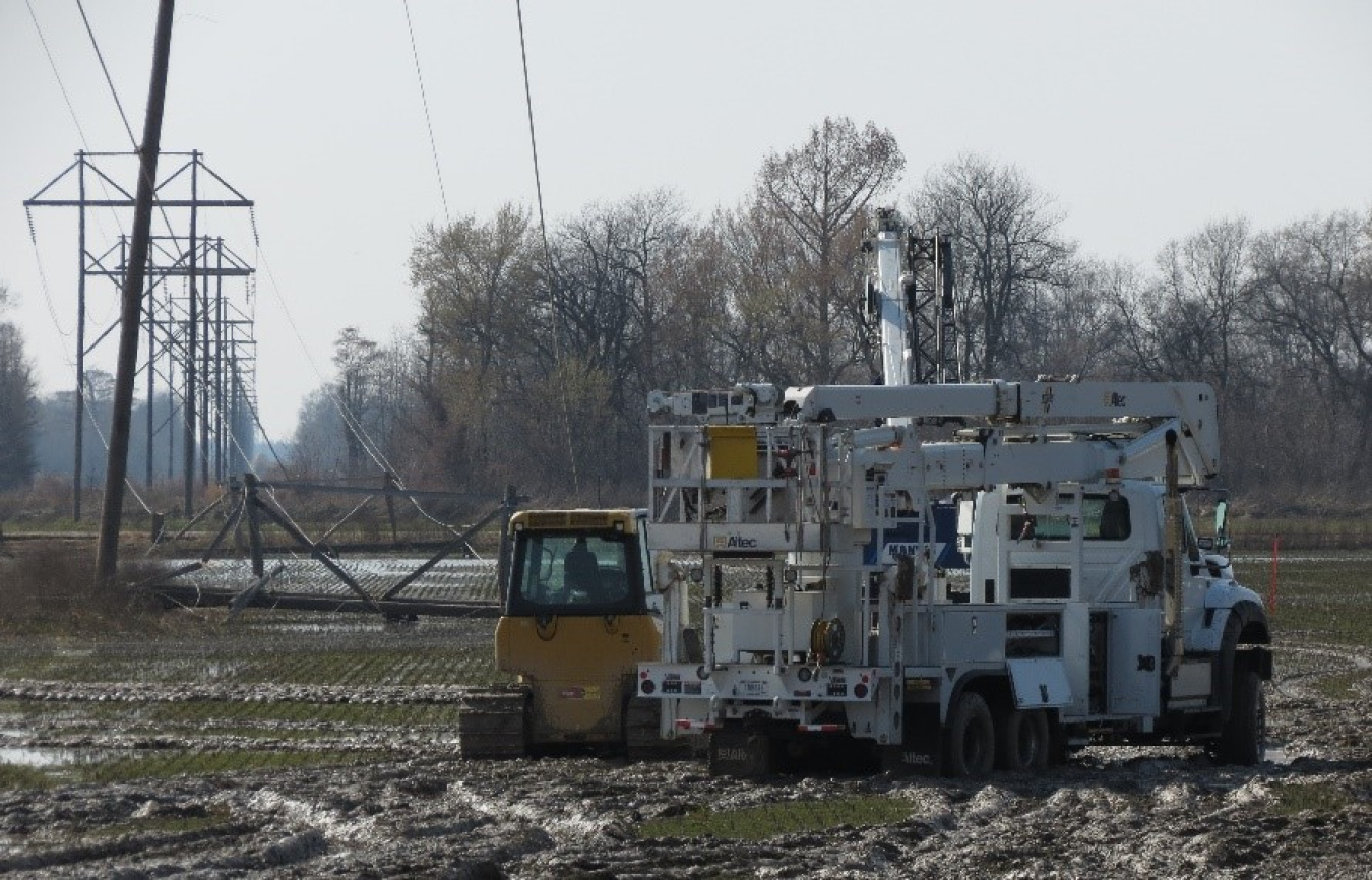 Field Work