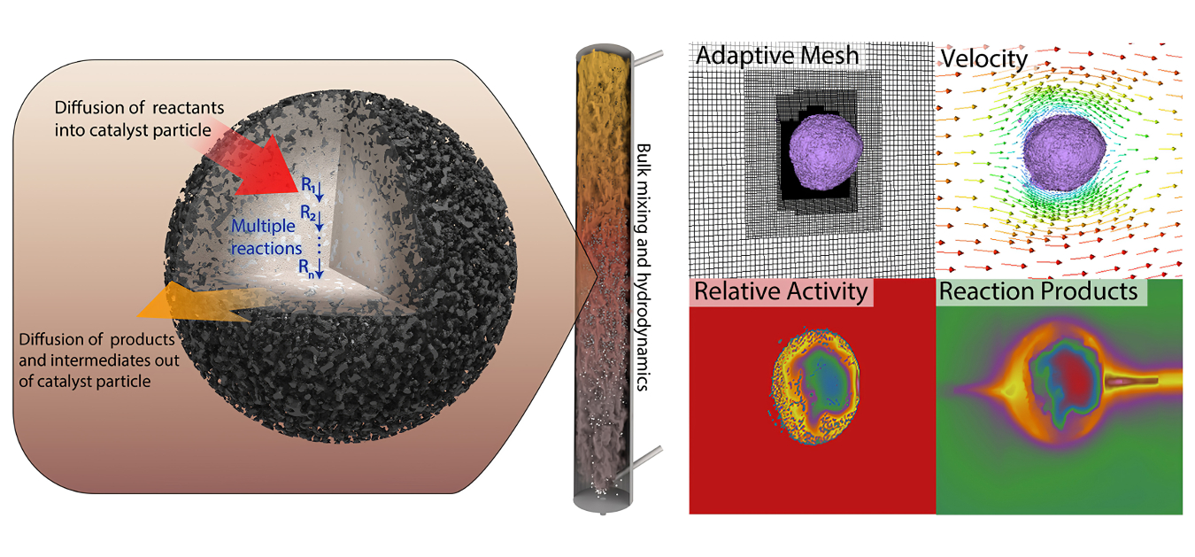 (left): Depiction of a spherical catalyst with porosity that varies along the radial axis of the particle. In the case shown, the particle is more dense and less porous in the center region (lower radial axis values). Diffusion of reactant species into the catalyst particle and product species out of the catalyst particle are shown. A fluidized bed reactor containing many catalyst particles is shown for reference to explain that bulk mixing and hydrodynamics also affect catalyst particles at the reactor sca