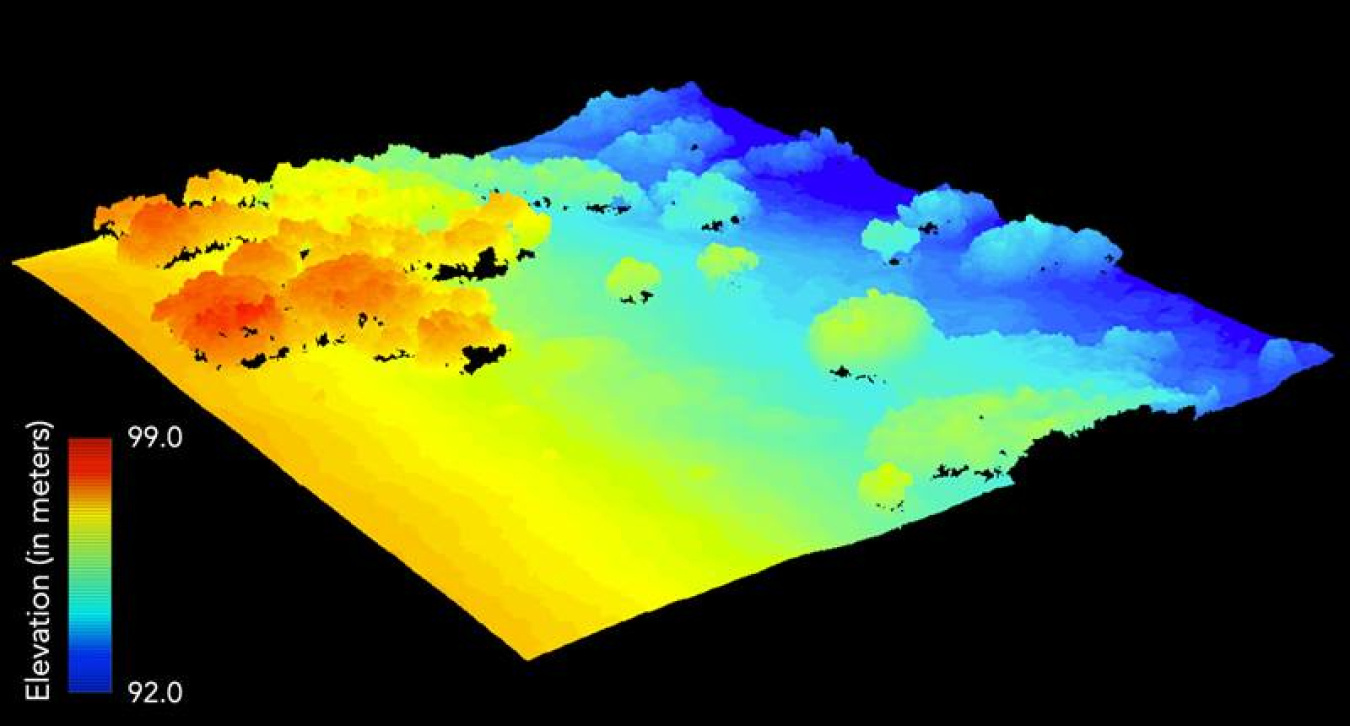 Three-dimensional rendering of surface elevation and structure of an Arctic vegetation canopy from the aerial system. Highly detailed information like this yields new insights into the distribution and structure of plants at high latitudes.