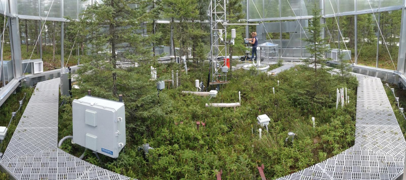 A plot of forest surrounded by scientific instruments. In the background, a person stands and reads a screen.