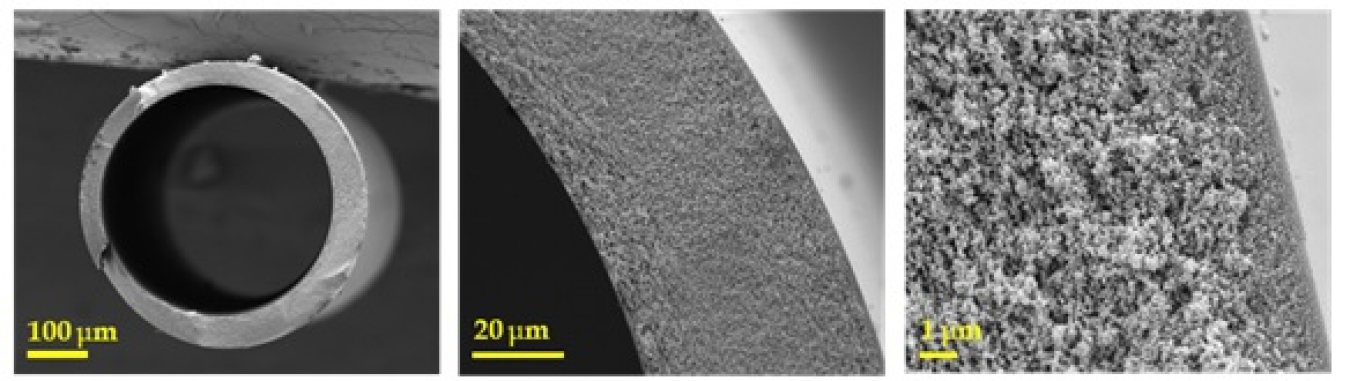 Asymmetric polybenzimidazole - derived carbon molecular sieve hollow fiber membranes