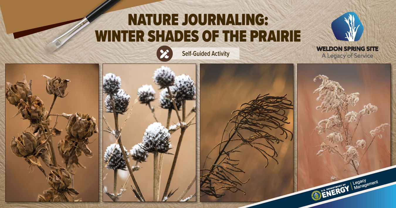 Nature Journaling: Winter Shades of the Prairie