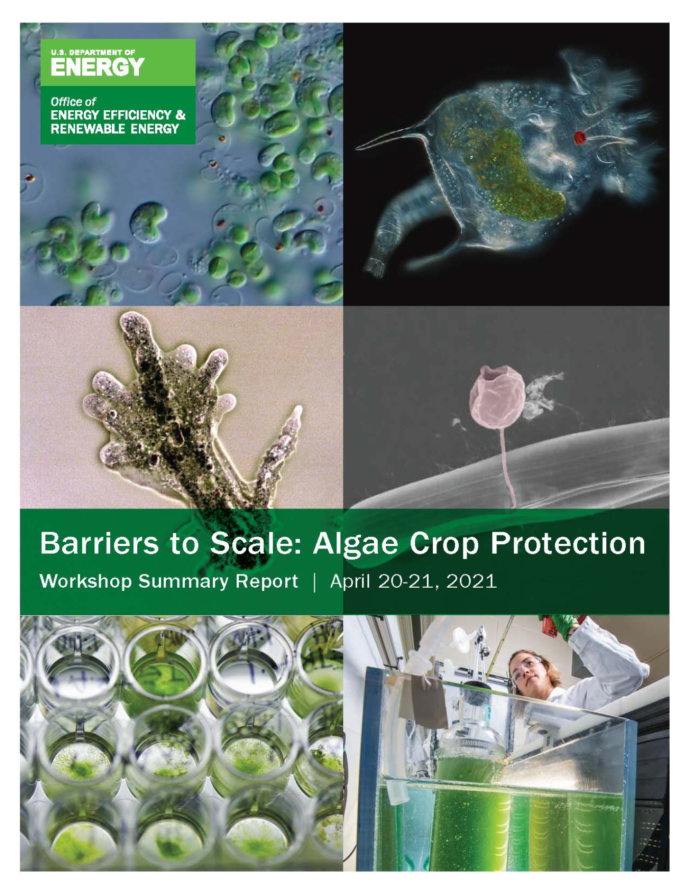 The front cover of the Algae Crop Protection Workshop Summary Report