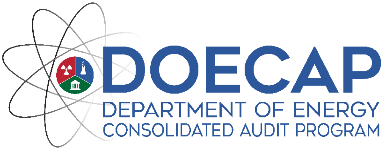 DOE Consolidated Audit Program logo