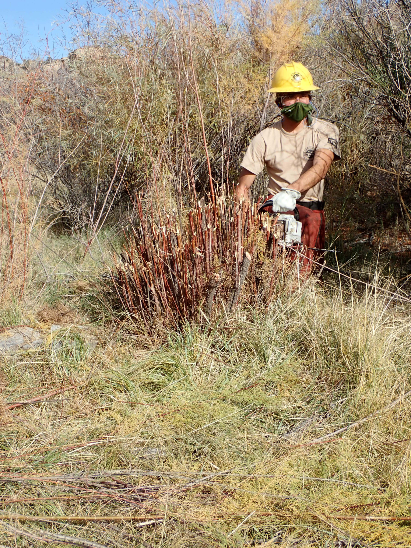 Southwest Conservation Corps Photo at Dolores River 03