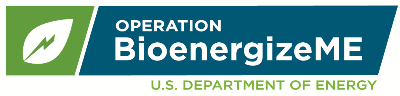 bioenergizeme Logo