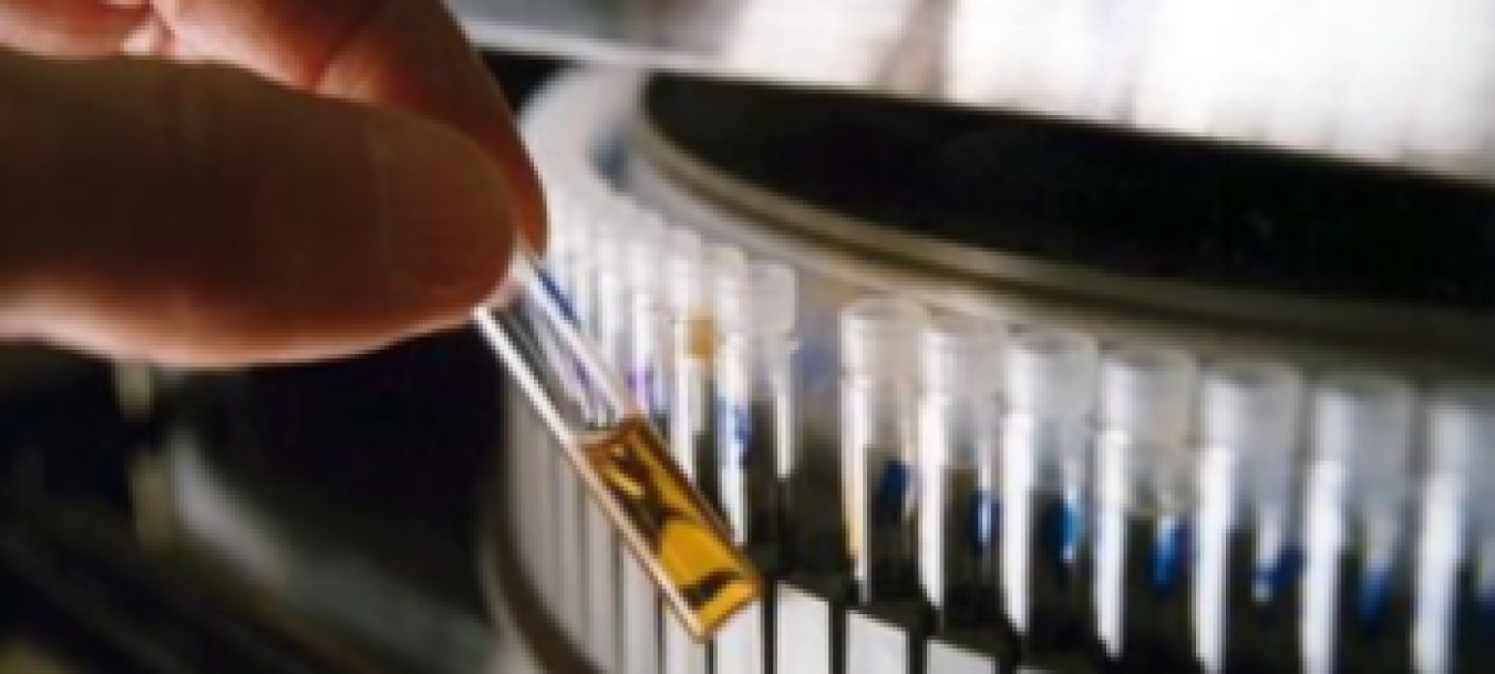 Close-up of a hand holding a small test tube.