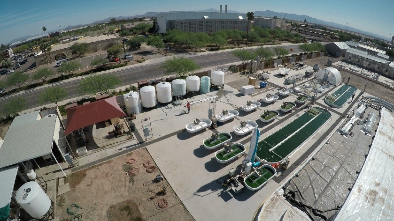 NREL’s indoor cultivators mimic the outdoor conditions at the Arizona Center for Algae Technology and Innovation, pictured here.
