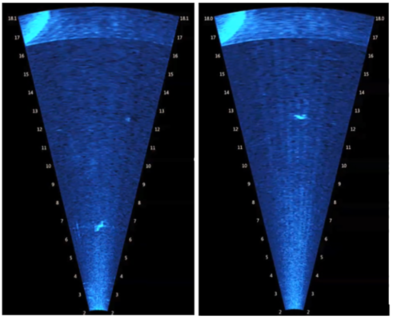 Sonar tracks used in the Electric Power Research Institute’s project on Deep Learning for Automated Identification of Eels.